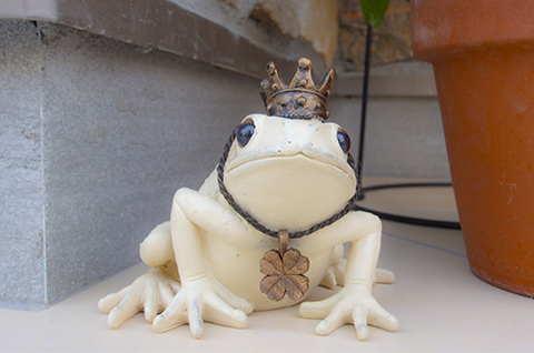 カエルの王子様