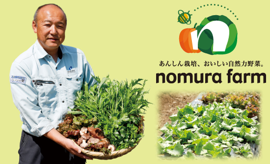 nomura farm