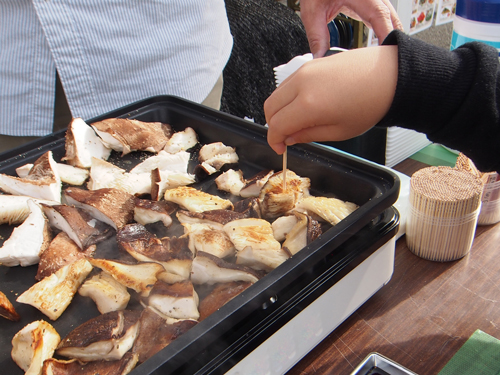 椎茸の試食販売会