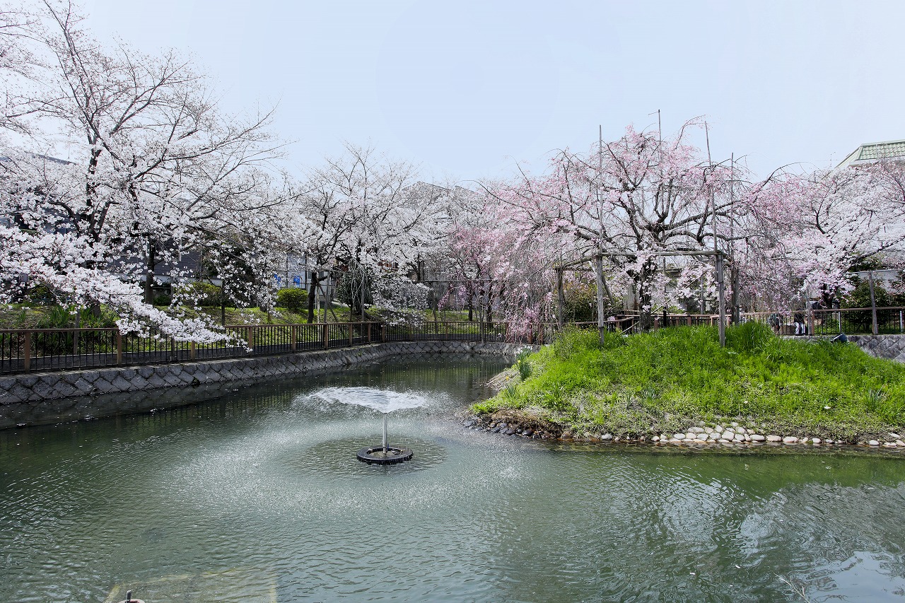 筒井池公園