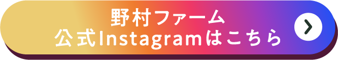 野村ファーム 公式Instagramはこちら