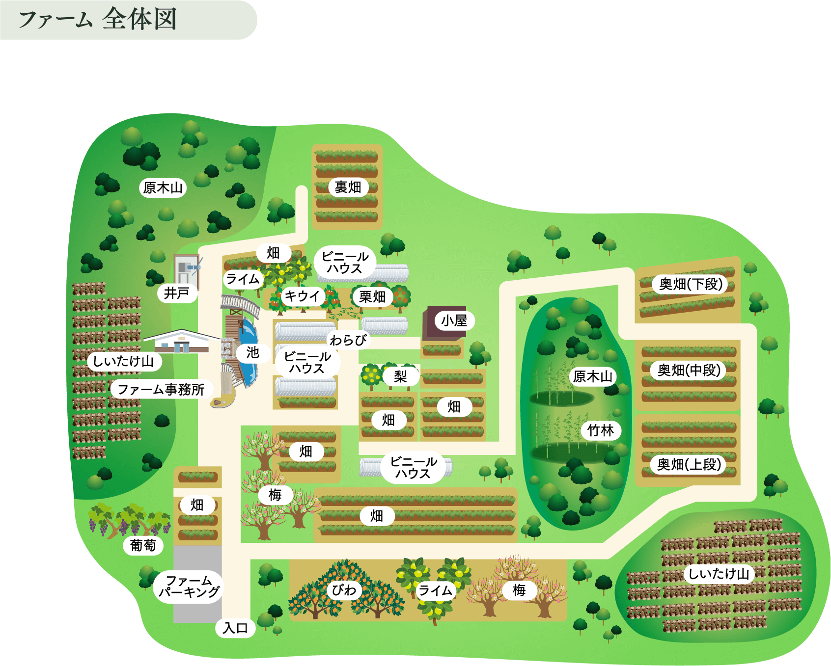 ファーム全体図
