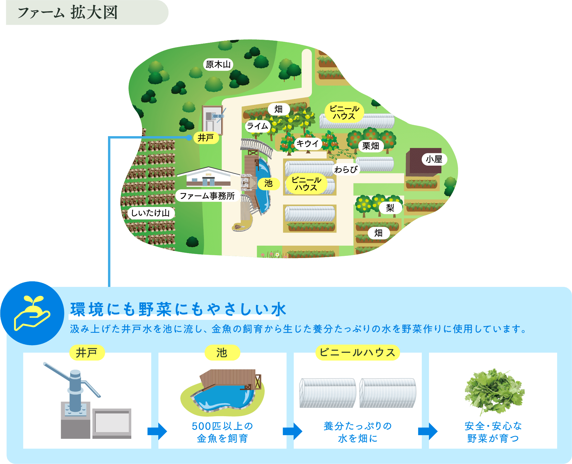 ファーム拡大図