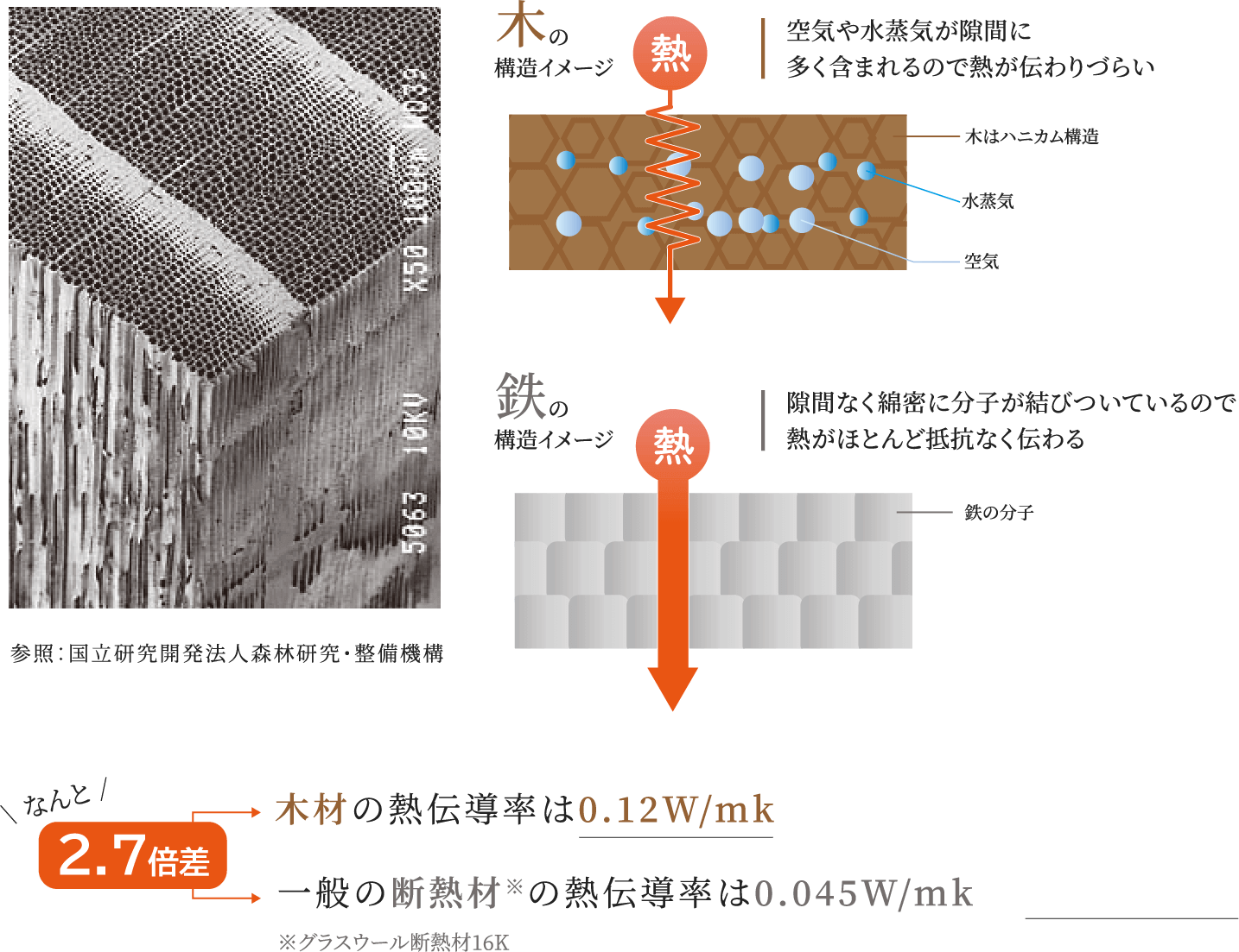 木が多いと実はとっても暖かい