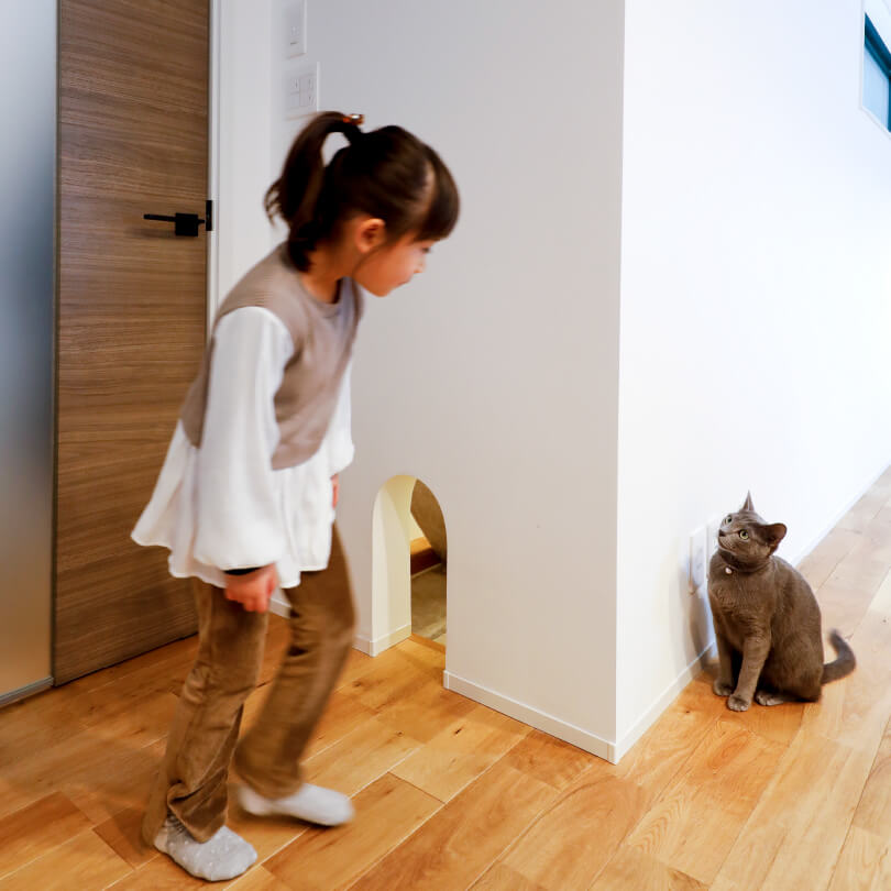 猫ちゃんも、家族も快適に イメージ2