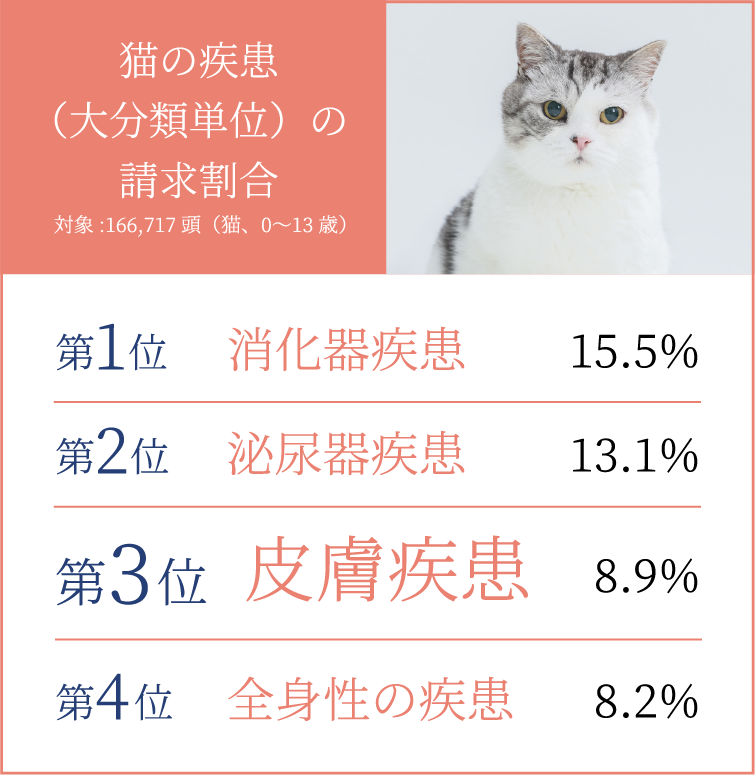 猫の疾患（大分類単位）の請求割合