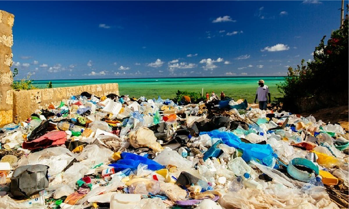 提供：WWFジャパン「ケニア・ワタミュビーチに打ち寄せられたプラスチックゴミ」