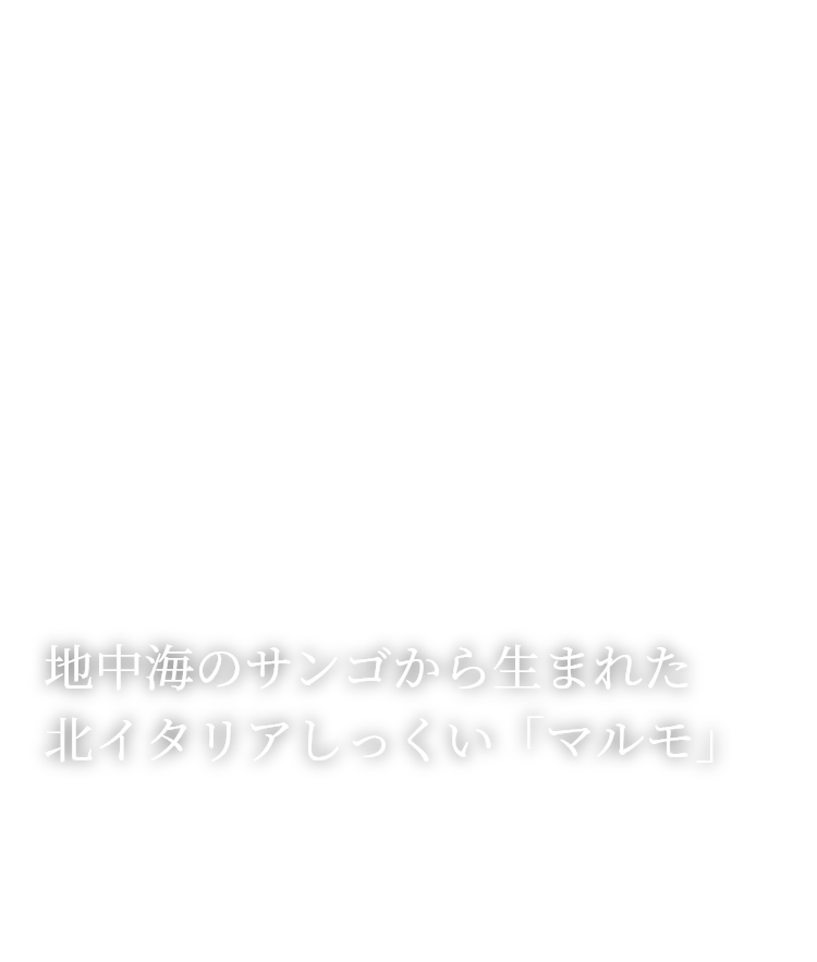 地中海のサンゴから生まれた北イタリアしっくい「マルモ」