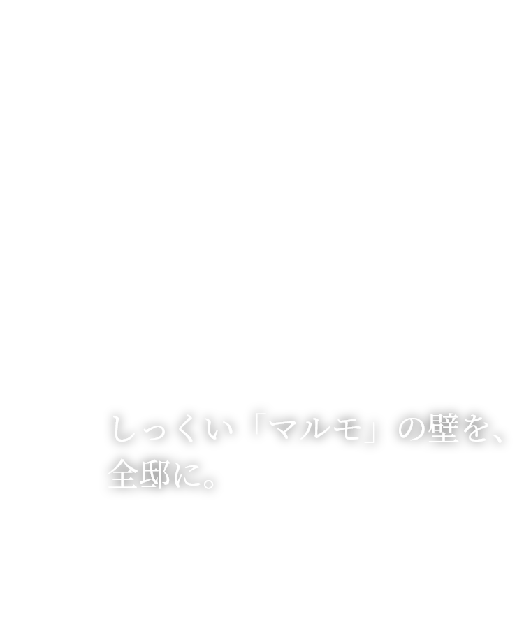 しっくい「マルモ」の壁を、全邸に。