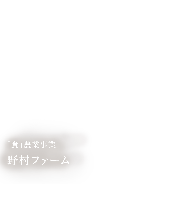 「食」農業事業 野村ファーム