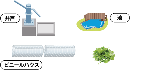 [井戸]→[池]500匹以上の金魚を飼育→[ビニールハウス]養分たっぷりの水を畑に→安全・安心な野菜が育つ