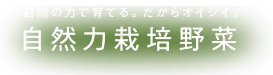 自然の力で育てる。だからオイシイ。 自然力栽培野菜