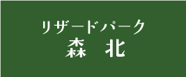 リザードパーク森北