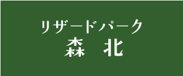 リザードパーク森北