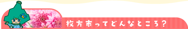 枚方市ってどんなところ？