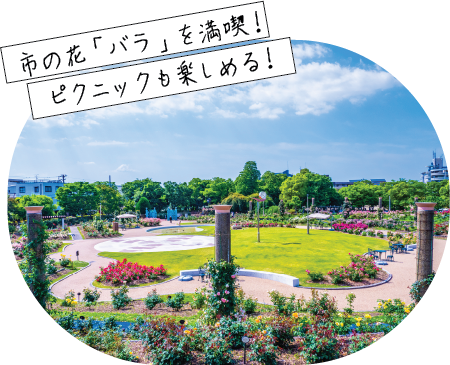 若園公園バラ園