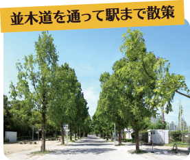 並木道