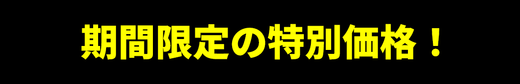 期間限定の特別価格！
